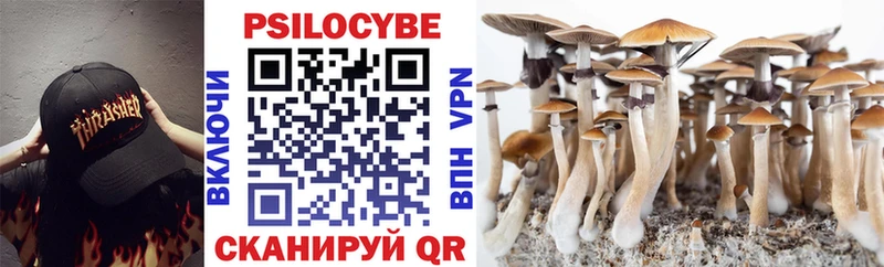 Галлюциногенные грибы Psilocybe  kraken сайт  Богородск 